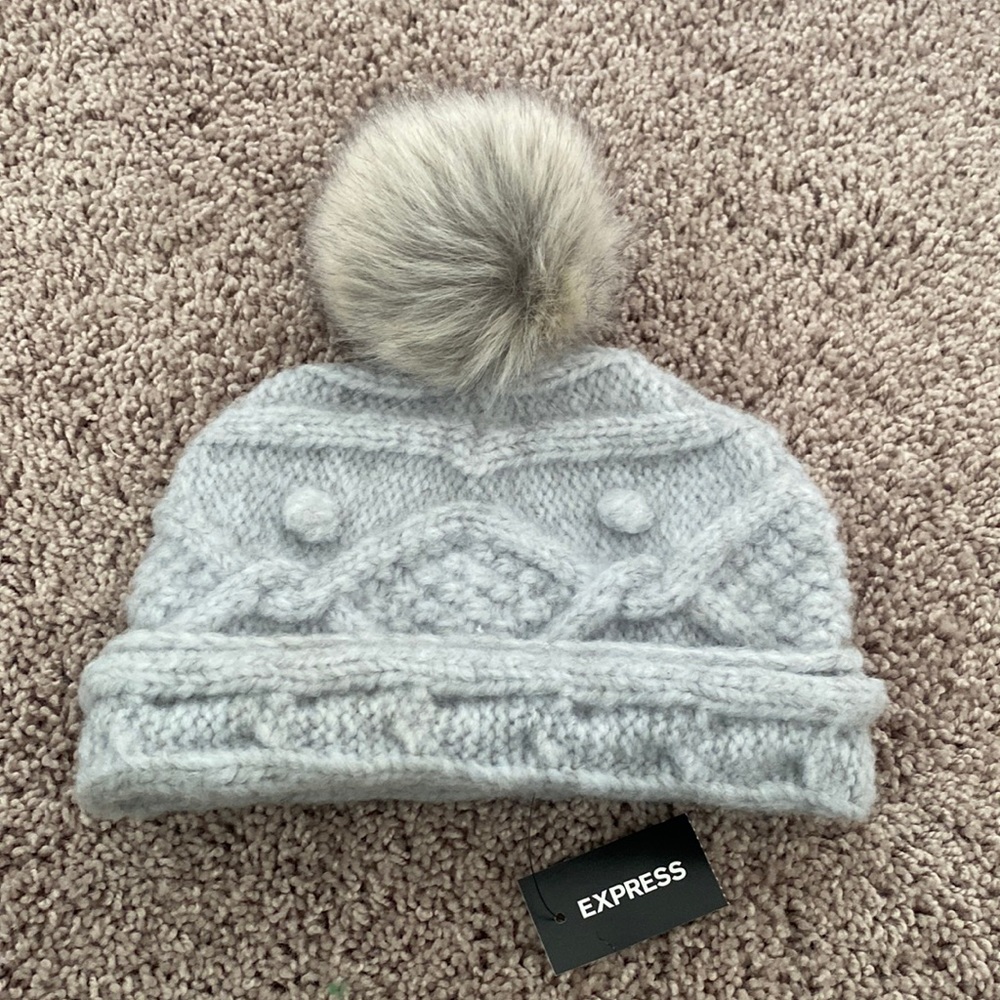 gray bin beanie from express one size nwt